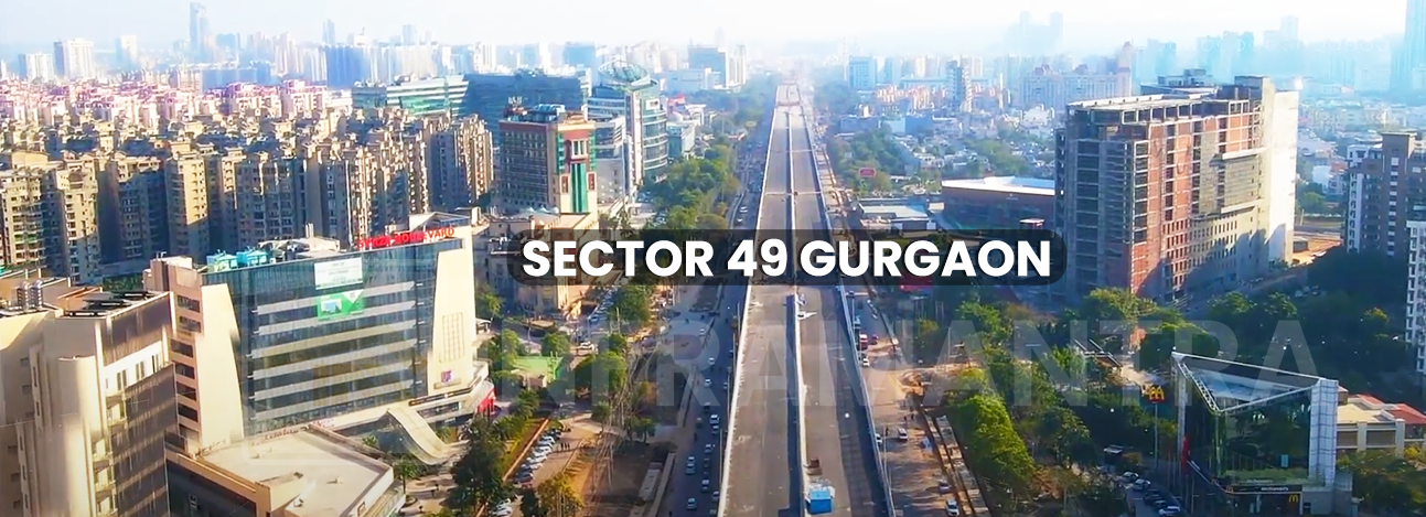 Sector 49 Gurgaon: A Complete Guide to Connectivity & Top Amenities
