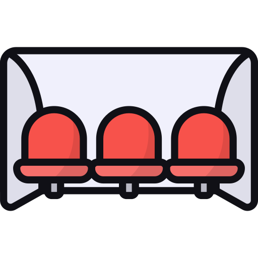 Amphitheatre Seating